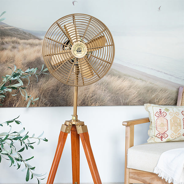 Tripod electric Fan