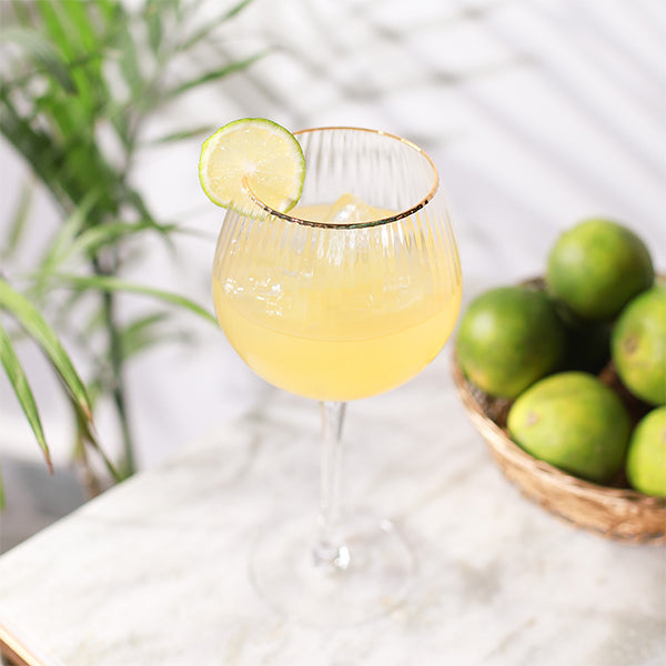 Wine Goblet Glasses (Set of 6)