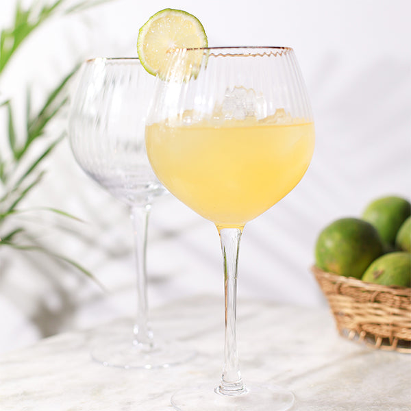 Wine Goblet Glasses (Set of 6)