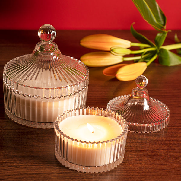 Ribbed Glass Multipurpose Jars (Set of 2)