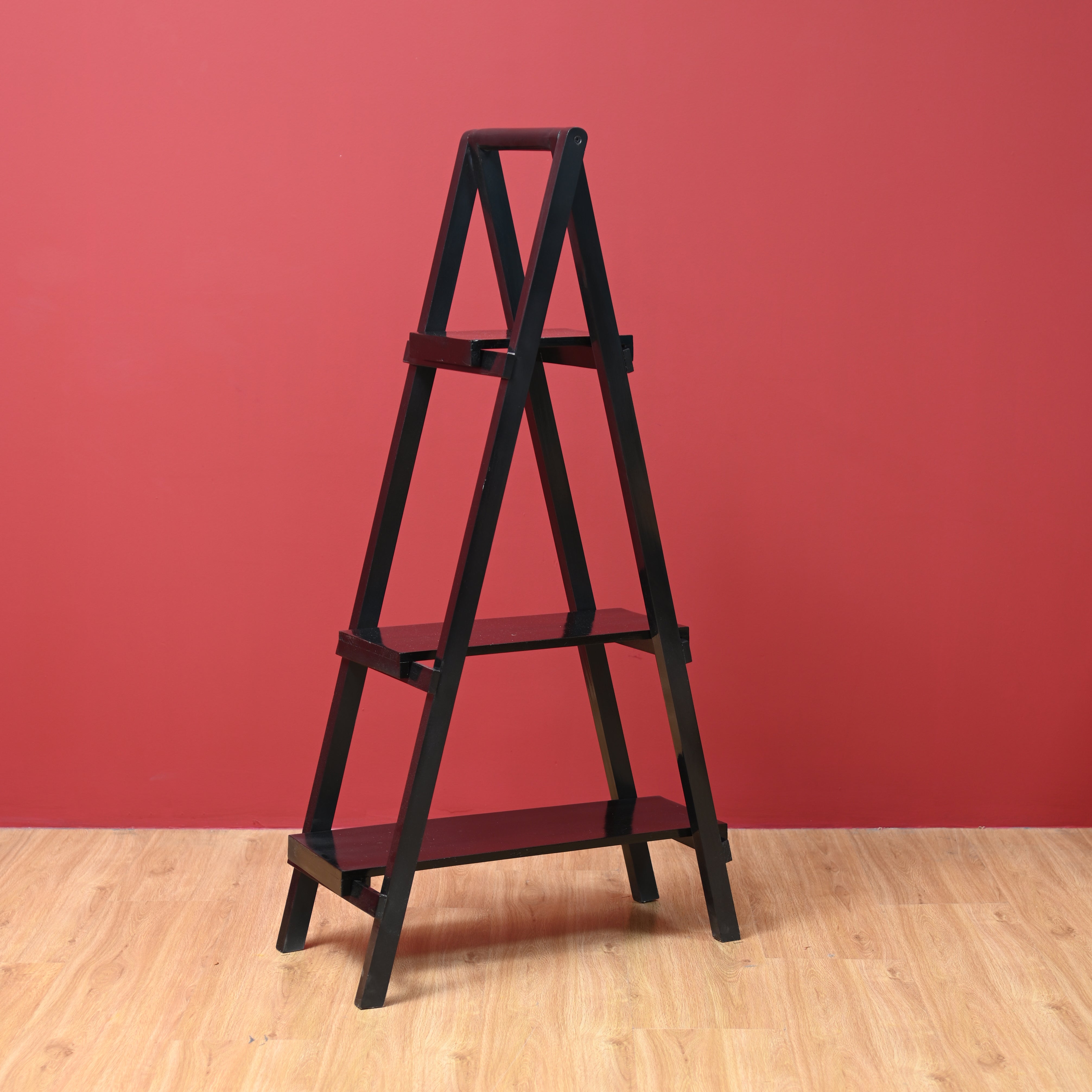 Bookshelf Ladder