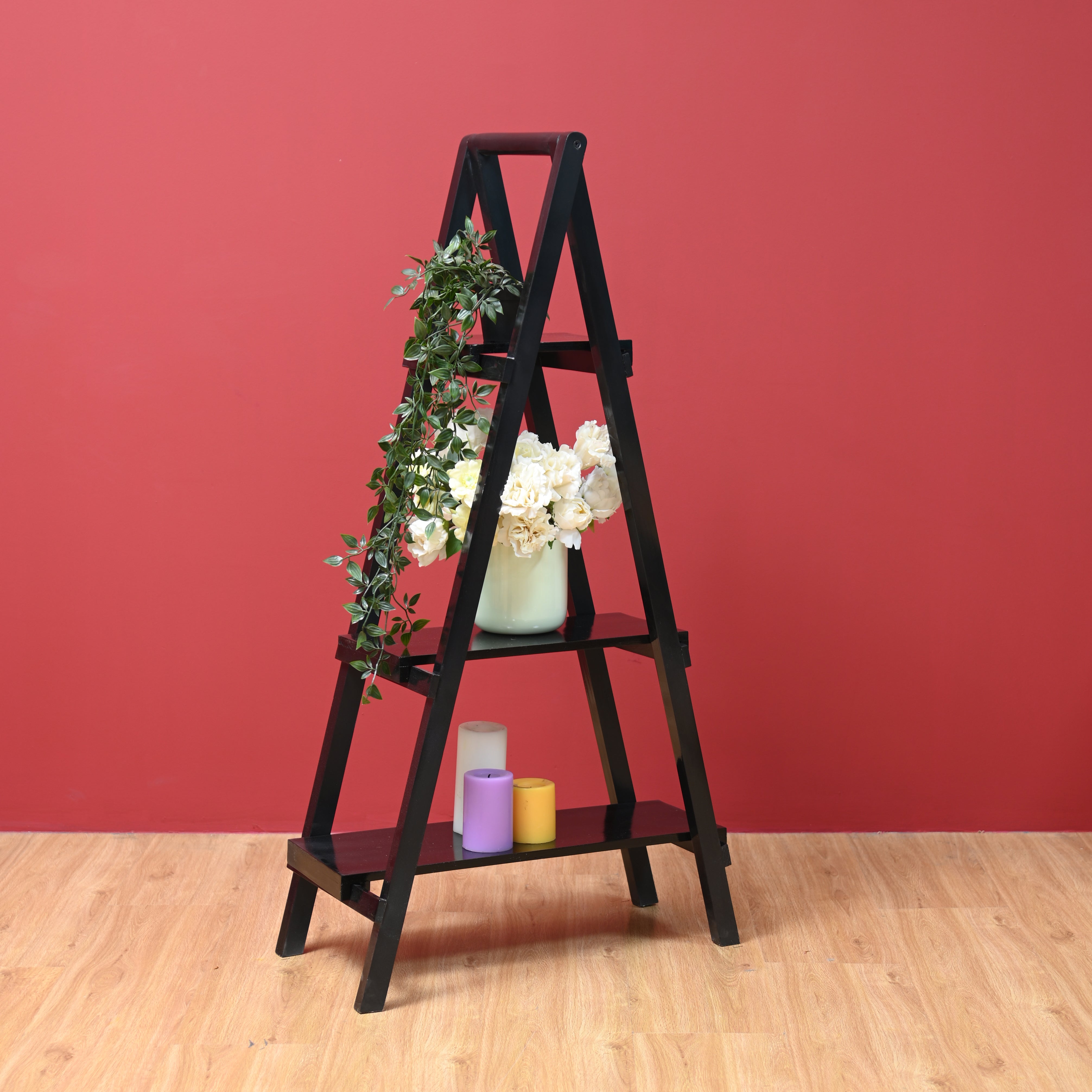 Bookshelf Ladder
