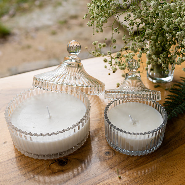 Ribbed Glass Multipurpose Jars (Set of 2)