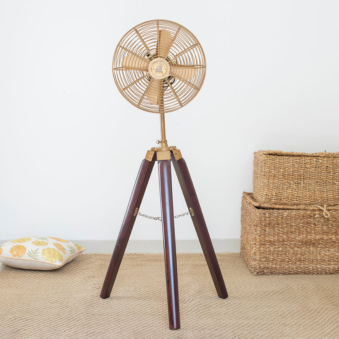 Free standing best sale fan