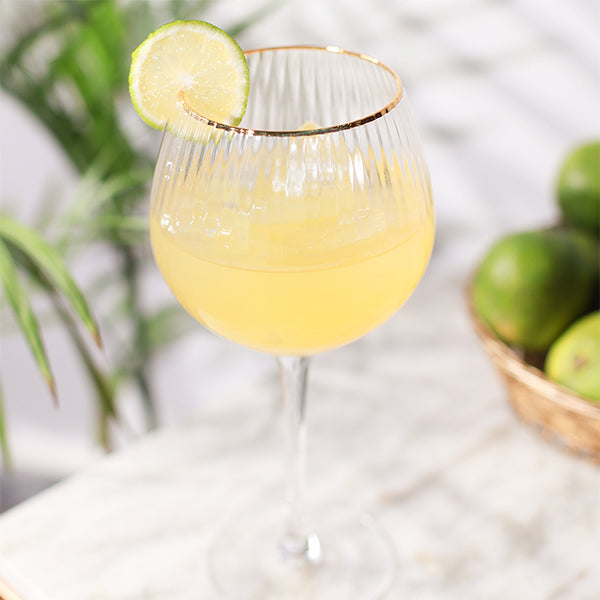 Wine Goblet Glasses (Set of 6)