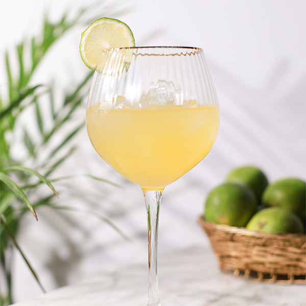 Wine Goblet Glasses (Set of 6)