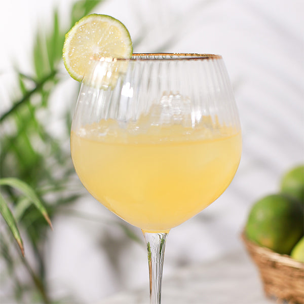 Wine Goblet Glasses (Set of 6)