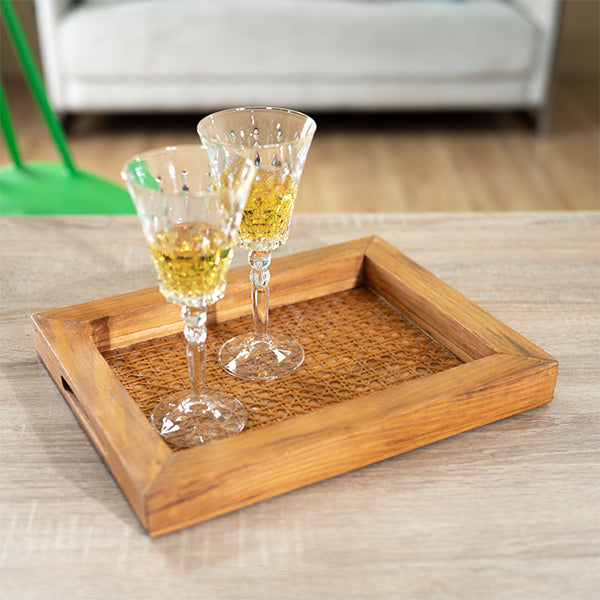 Mesh Cane Tray