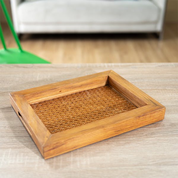Mesh Cane Tray